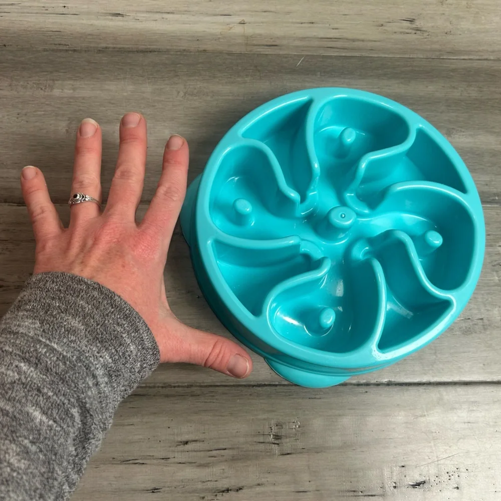 Heart to Tail Slow Feed Pet Bowl